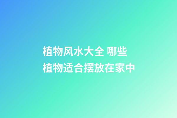 植物风水大全 哪些植物适合摆放在家中